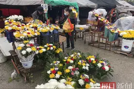 清明流行绿色祭祀，鲜花成首选，菊花销量走高图片