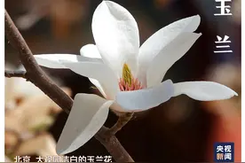 色卡里的春天，快来看～图片