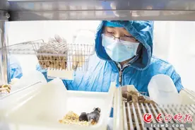 试新药寻妙方练刀法，让他们看到生命的曙光丨医院里 你不知道的⑥图片
