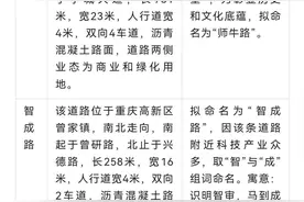 西部（重庆）科学城多条道路要命名啦！欢迎市民提建议图片