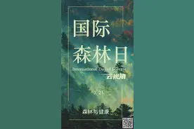 【云视角】今天是国际森林日，这些你知道吗？图片