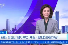重要西通道！新疆阿拉山口通行中欧（中亚）班列累计突破3万列图片