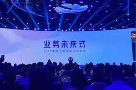 年度收入跨过1亿美元，专访飞书CEO谢欣：保持同行中最大投入，向海外要增量图片