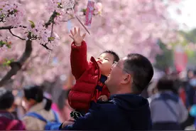 春天迎面走来，万物复苏图片