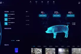 福州：“云养猪”成真 1人能养2500头图片