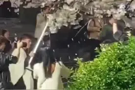 为拍视频狂摇百年樱花树，网红团队手写道歉信！网友：不接受！图片