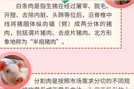 畜产品安全指南丨如何鉴别猪肉好坏？学会这几招，吃好放心肉图片