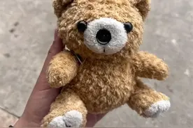 玩具熊拿回家两月后发现内藏摄像头，当事人：吓得赶紧扔了图片