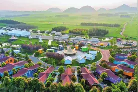 罗平：露营花海享春光图片