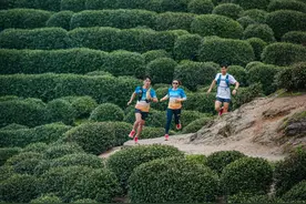 女马、樱花跑、青芝坞跑山节！今天的杭州好热闹图片