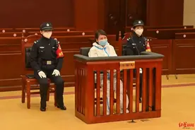 “律师已递交282页辩护意见材料”，劳荣枝案有新消息图片