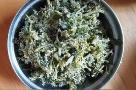 青未了丨难忘老家苜蓿芽图片