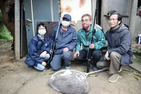 台湾街头奔逃近3周的狒狒在一民宅被抓到！当地称将先做检疫图片