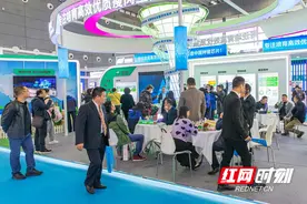 自主育种新高度 湖南这家企业走上高端种猪定制之路图片