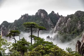 江西上饶：雨中三清山云遮雾绕 如水墨丹青画图片