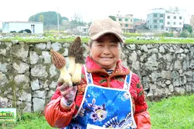 贵州三农 | 咱们村的羊肚菌丰收了！图片