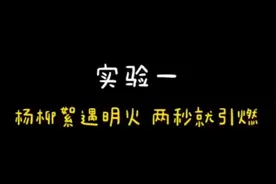 又是一年春来“雪”，杨柳絮什么时段高发？答案在这里→图片
