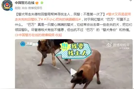 警犬带走失德牧回警局帮其寻找主人，民警：不是第一次了图片