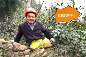 无腿“板凳哥”爬树走红网络 本人回应：为了给家人更好的生活图片