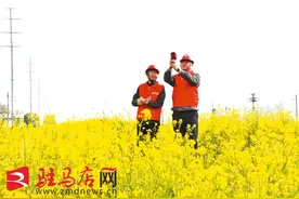 春暖花正香 保供巡线忙图片