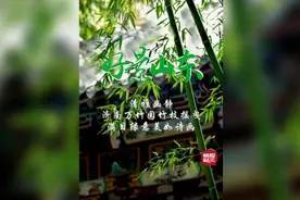 果然视频·好景山东|济南万竹园竹枝摇曳，满目绿意美如诗画图片