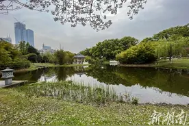 落英缤纷香犹在 化入泥土亦芬芳图片