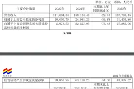 市场需求低位运行 长源东谷2022年净利润同比大跌约6成 拟终止多个投资项目图片