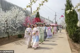古风映春花图片