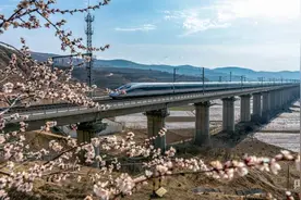 【春日里的中国】一路生花！高铁开进春天里图片