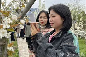 建始：梨园赏花 等你来答图片