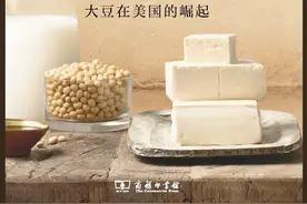 郭晔旻评《魔豆》｜一种东方作物的“西方化”历程图片