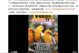 警惕！14岁少年养宠物鸟确诊鹦鹉热图片