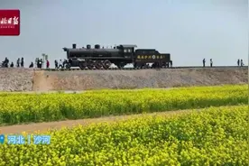 按图索冀｜油菜花开醉春光图片
