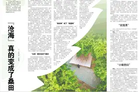 文化观察丨“沧海”真的变成了桑田图片