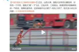 汪汪队高光时刻！搜救犬过障碍快到重影图片