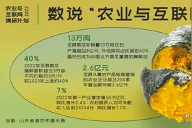 农业与互联网｜从昌乐贝贝南瓜产业看电商红利与农业现代化图片