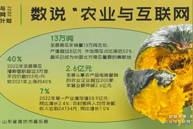 农业与互联网｜昌乐贝贝南瓜：“网红”蔬菜助力订单农业发展图片