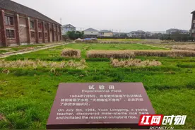 走进旅游“金三角”| 安江：世界稻都 魅力新生图片