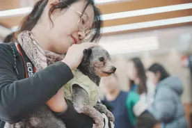 实名羡慕，闵行这些学生竟能在校园里撸狗……图片