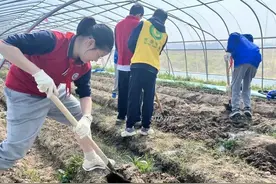 在劳动实践中探究，这些初中生们用三天探究未来农业的无限可能图片