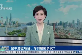 噪音！不安全？空中游览项目屡陷争议如何破？图片