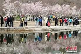 短途游、拼长假，没有调休的清明节怎么玩？图片