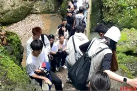 春日游山正当时丨登青城山火了！大家赶紧安排起来～图片