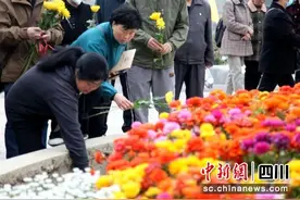 眉山东坡区举行首届绿色节地生态葬公益活动图片