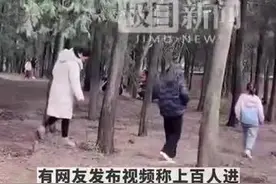 上百人带工具进山挖黄金？官方：挖的实际是昆虫，多数人为跟风图片