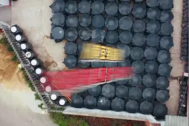 《寻味上海》丨古法酿造酱油如何“酿”？图片