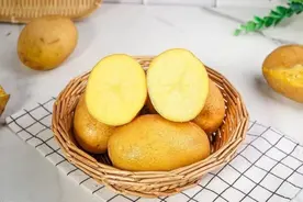 “天选之种”扎根德州图片