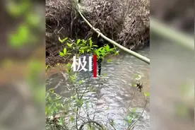 广西拜山祭祖有多拼？众人翻山越岭吊竹竿过河，网友：“没点功夫不敢去祭祖”图片