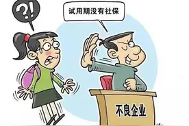 用人单位未缴纳社保，劳动者如何维权？图片