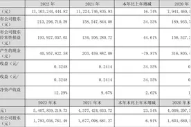 太阳电缆：2022年净利润同比增长34.53% 拟10送1股派1元图片